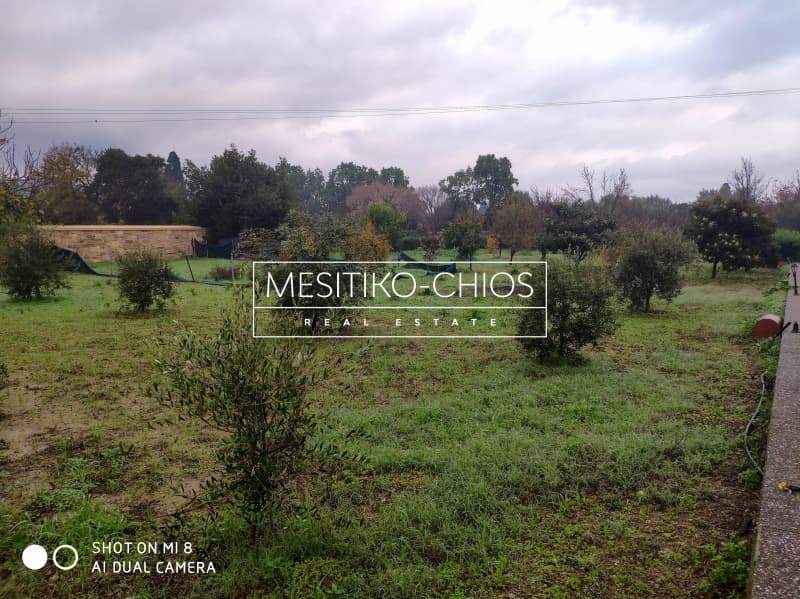 House in Agios Minas, Chios — Photo 24 of 25