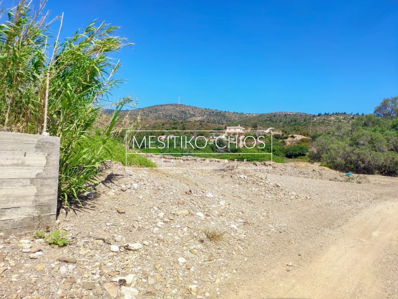 Parcel in Amani, Chios — Photo 11 of 11