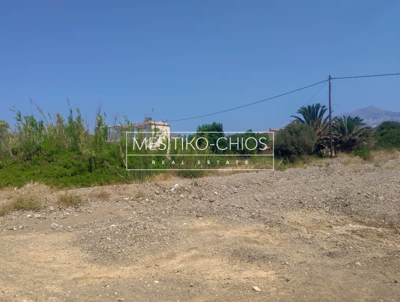 Parcel in Amani, Chios — Photo 6 of 11