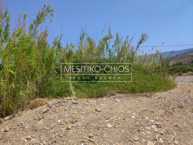 Parcel in Amani, Chios — Photo 8 of 11