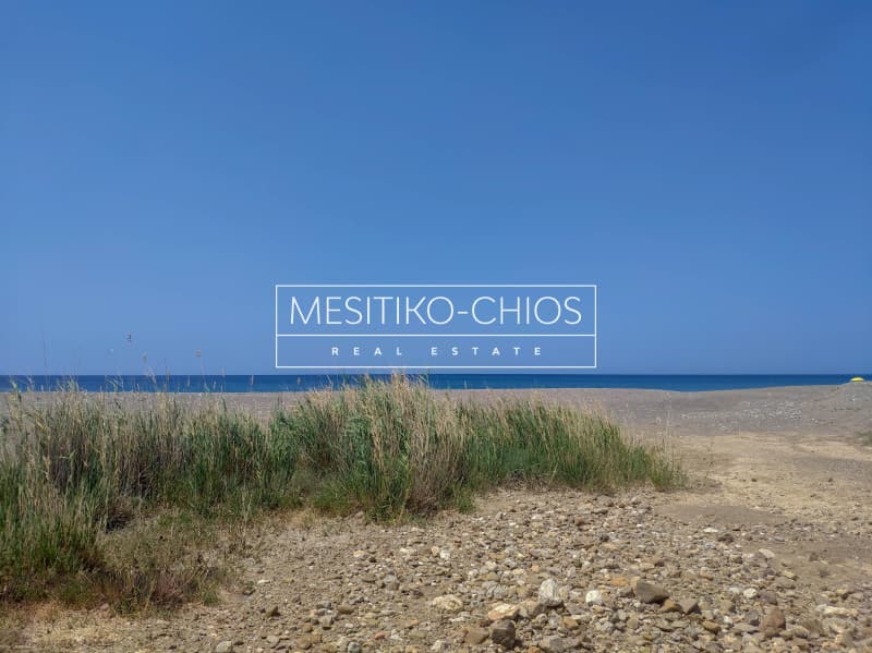 Parcel in Amani, Chios — Photo 3 of 11