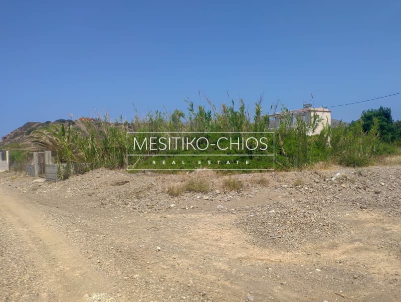 Parcel in Amani, Chios — Photo 7 of 11