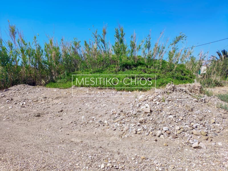 Parcel in Amani, Chios — Photo 10 of 11