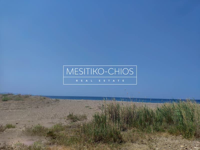Parcel in Amani, Chios — Photo 4 of 11