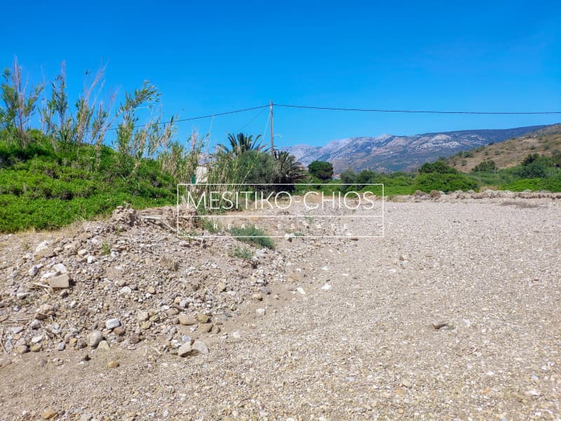 Parcel in Amani, Chios — Photo 9 of 11