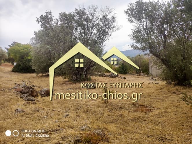 Building Plot in Agios Minas, Chios — Photo 15 of 25