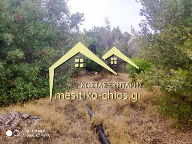 Building Plot in Agios Minas, Chios — Photo 20 of 25