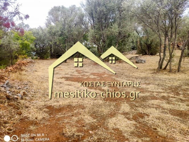 Building Plot in Agios Minas, Chios — Photo 11 of 25