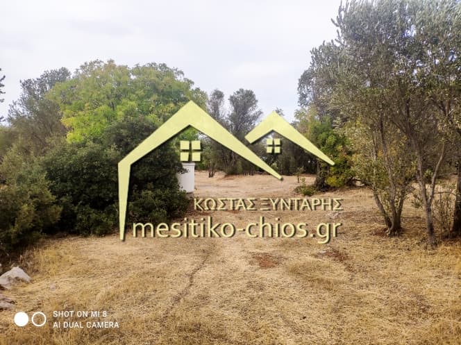Building Plot in Agios Minas, Chios — Photo 16 of 25