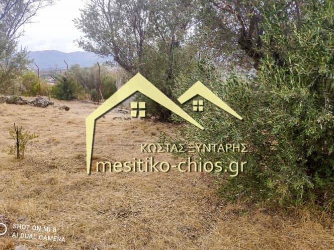 Building Plot in Agios Minas, Chios — Photo 14 of 25