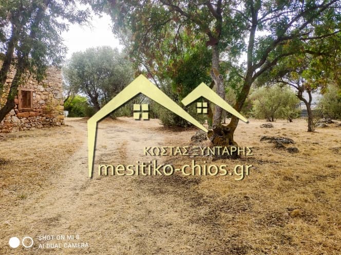 Building Plot in Agios Minas, Chios — Photo 9 of 25