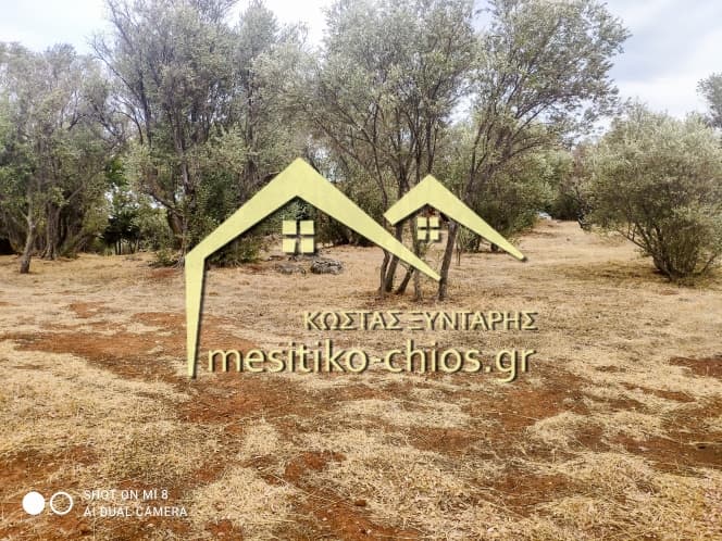 Building Plot in Agios Minas, Chios — Photo 12 of 25