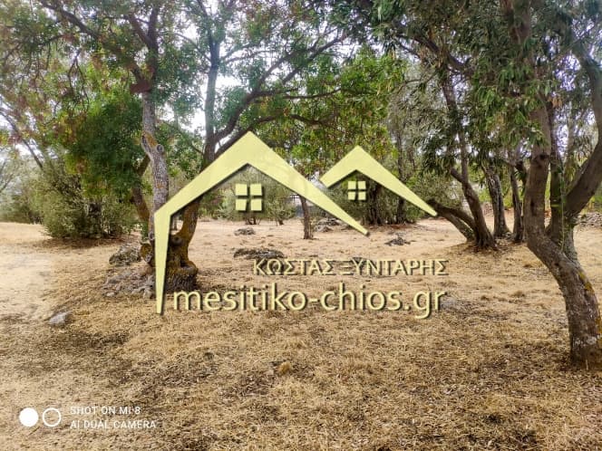 Building Plot in Agios Minas, Chios — Photo 8 of 25