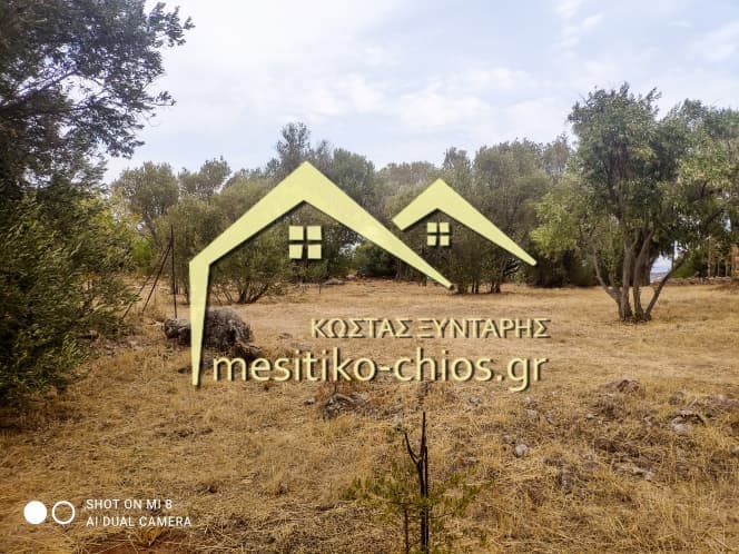 Building Plot in Agios Minas, Chios — Photo 1 of 25