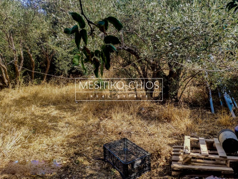 Building Plot in Agios Minas, Chios — Photo 10 of 15
