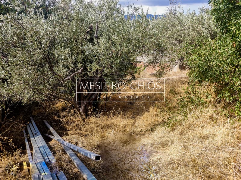 Building Plot in Agios Minas, Chios — Photo 6 of 15