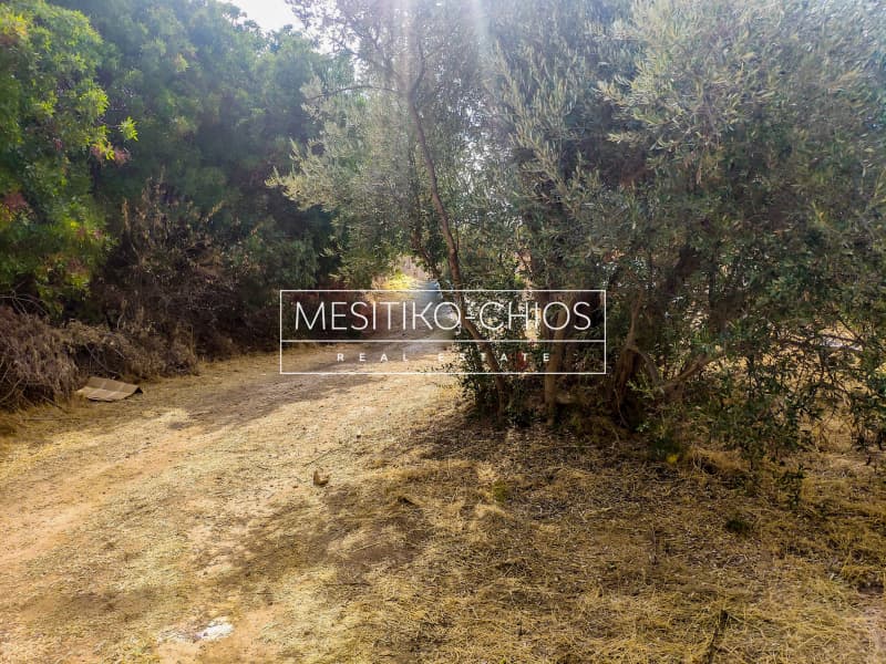 Building Plot in Agios Minas, Chios — Photo 3 of 15
