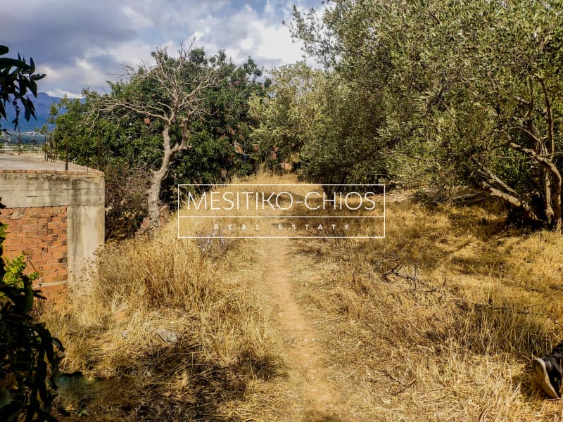 Building Plot in Agios Minas, Chios — Photo 11 of 15