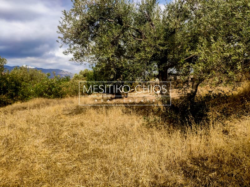 Building Plot in Agios Minas, Chios — Photo 1 of 15