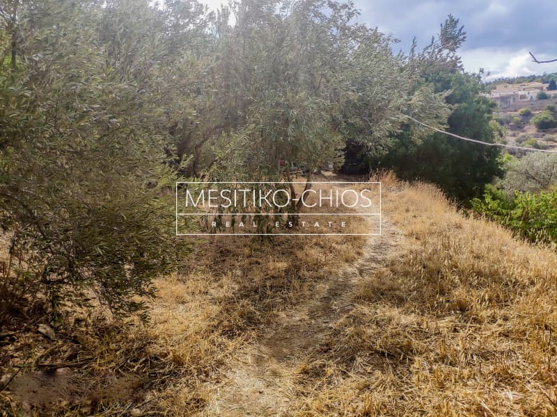 Building Plot in Agios Minas, Chios — Photo 13 of 15