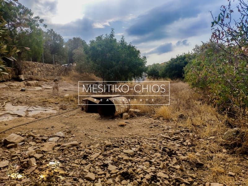 Building Plot in Agios Minas, Chios — Photo 7 of 15