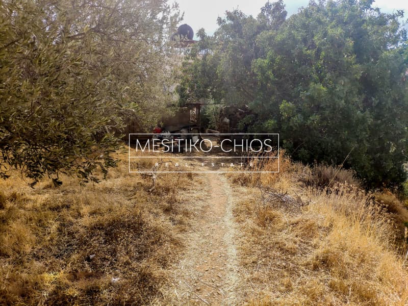 Building Plot in Agios Minas, Chios — Photo 12 of 15