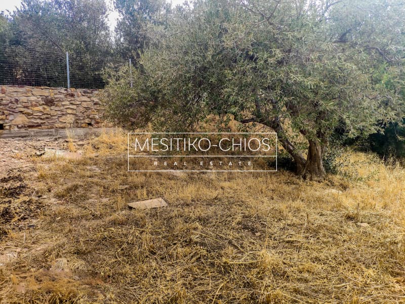 Building Plot in Agios Minas, Chios — Photo 4 of 15