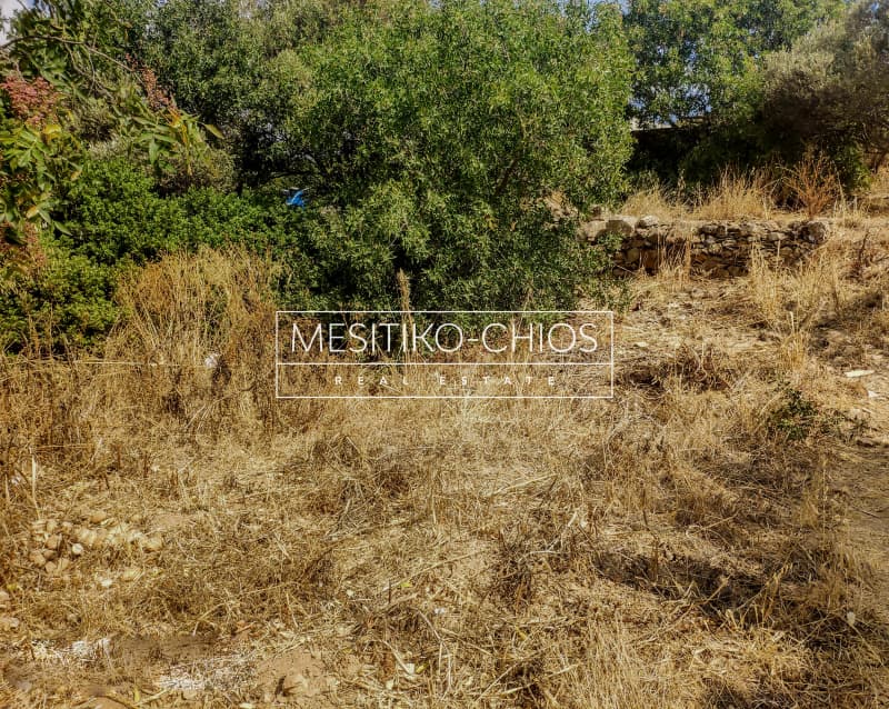 Building Plot in Agios Minas, Chios — Photo 5 of 15