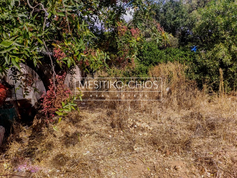 Building Plot in Agios Minas, Chios — Photo 9 of 15