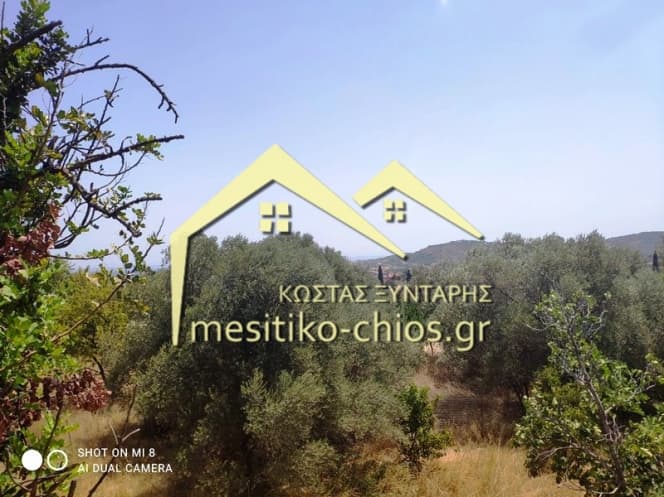 Building Plot in Chios town, Chios — Photo 3 of 19