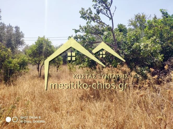 Building Plot in Chios town, Chios — Photo 7 of 19