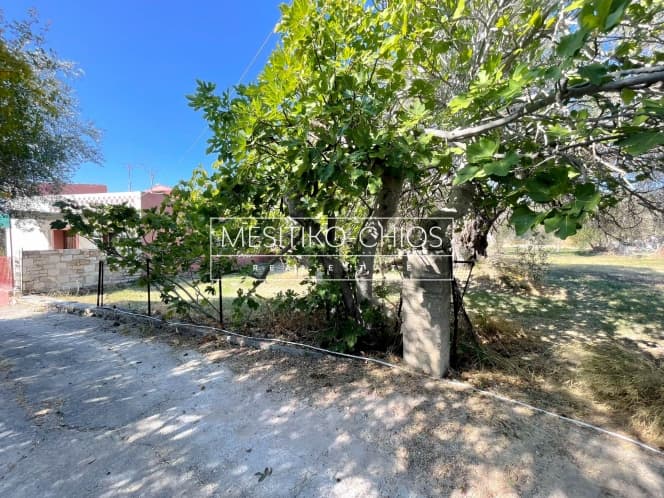Building Plot in Agios Minas, Chios — Photo 19 of 21