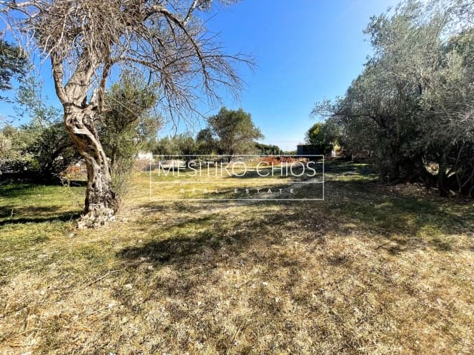 Building Plot in Agios Minas, Chios — Photo 12 of 21