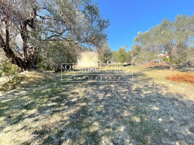 Building Plot in Agios Minas, Chios — Photo 2 of 21