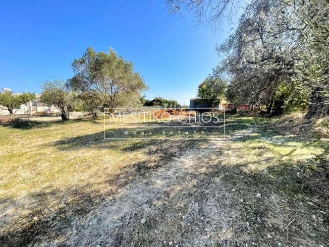 Building Plot in Agios Minas, Chios — Photo 11 of 21