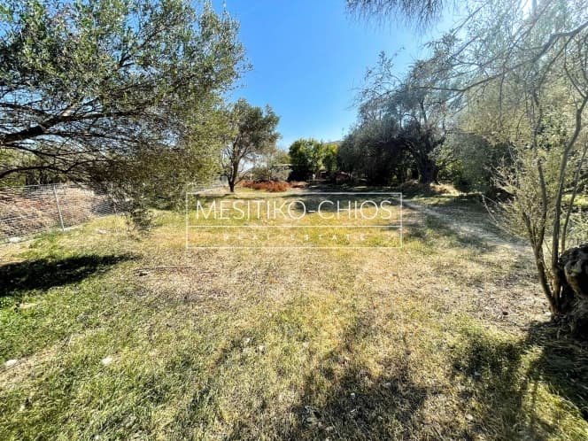 Building Plot in Agios Minas, Chios — Photo 5 of 21