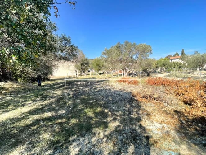 Building Plot in Agios Minas, Chios — Photo 10 of 21