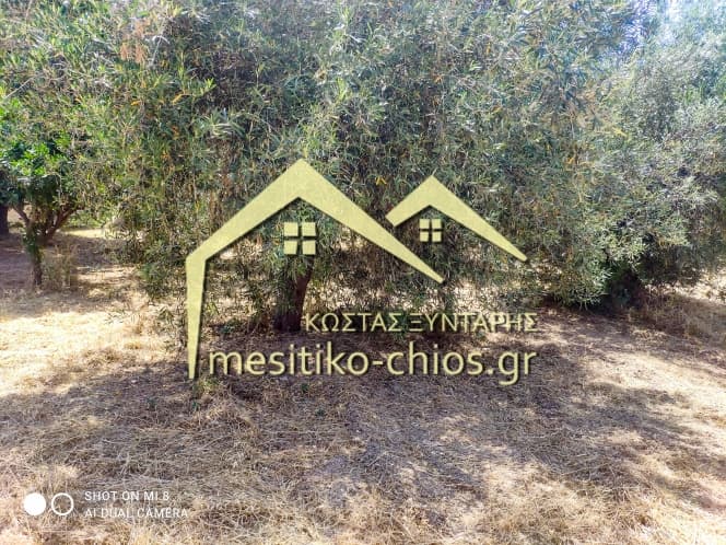 Building Plot in Chios town, Chios — Photo 5 of 5