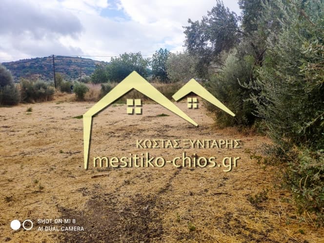 Building Plot in Agios Minas, Chios — Photo 5 of 8