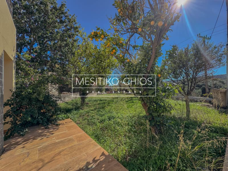 House in Agios Minas, Chios — Photo 6 of 29