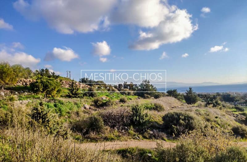 Building Plot in Chios town, Chios — Photo 6 of 11