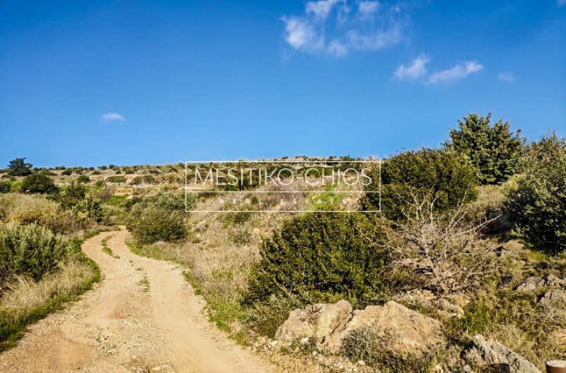 Building Plot in Chios town, Chios — Photo 8 of 11