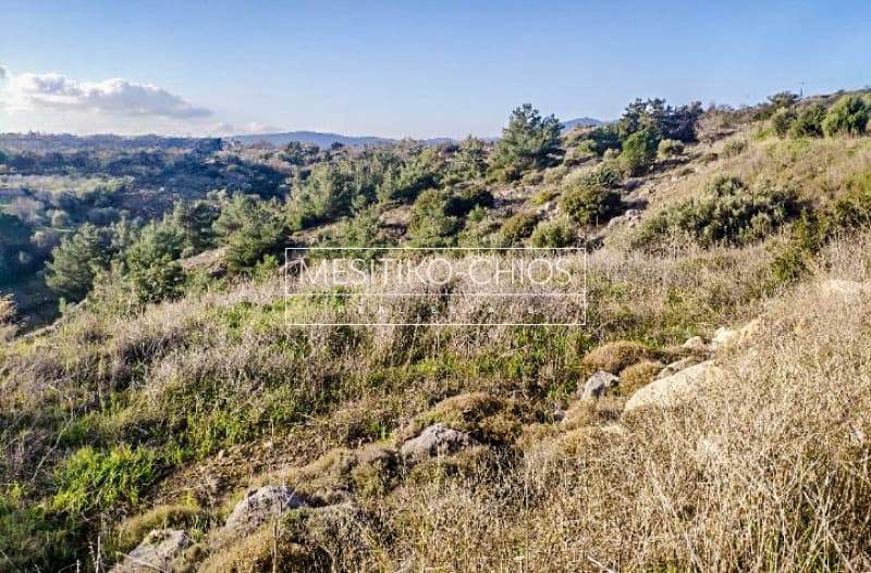 Building Plot in Chios town, Chios — Photo 5 of 11