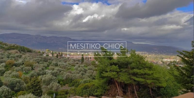 House in Agios Minas, Chios — Photo 13 of 26