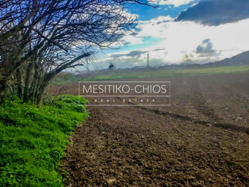 Building Plot in Agios Minas, Chios — Photo 7 of 13
