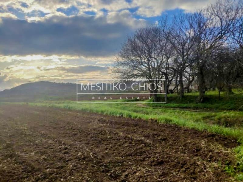 Building Plot in Agios Minas, Chios — Photo 5 of 13