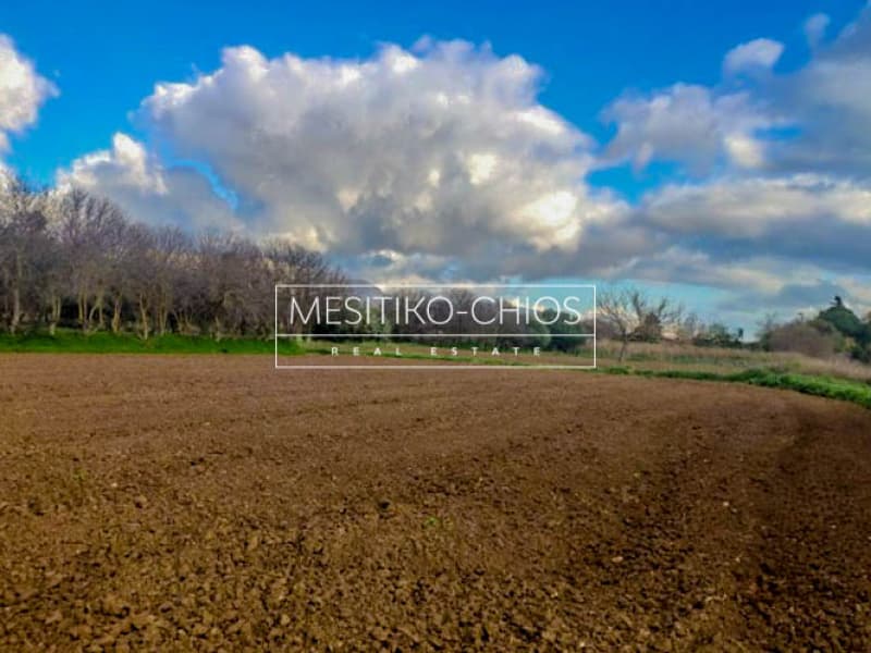 Building Plot in Agios Minas, Chios — Photo 13 of 13