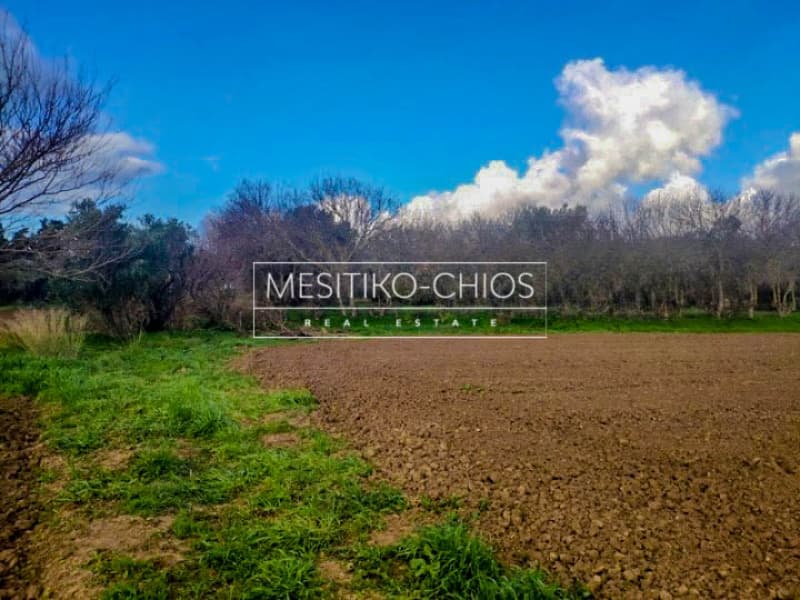 Building Plot in Agios Minas, Chios — Photo 11 of 13