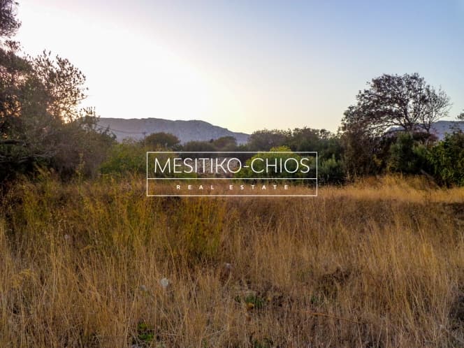 Building Plot in Chios town, Chios — Photo 7 of 17
