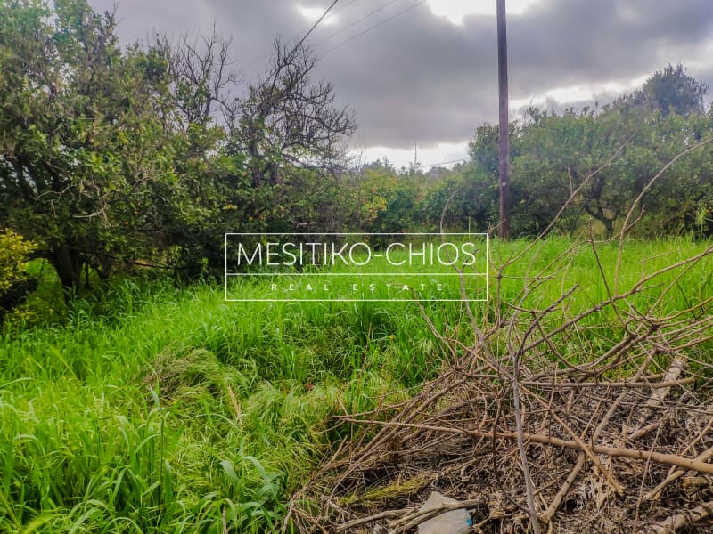 Building Plot in Kampochoria, Chios — Photo 7 of 12